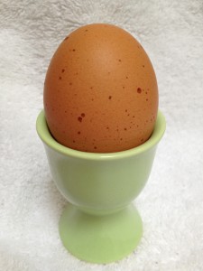 egg